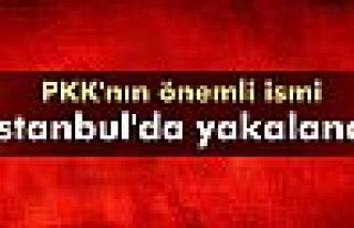 PKK'nın önemli ismi İstanbul'da tutuklandı