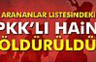 PKK’nın sözde Mardin sorumlusu öldürüldü