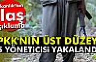 PKK'nın üst düzey 5 yöneticisi yakalandı