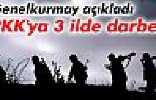 PKK'ya 3 ilde operasyon!