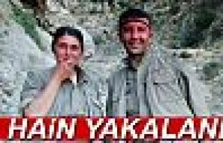 PKK'ya büyük darbe