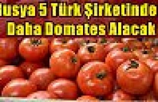 Rusya 5 Türk şirketinden daha domates alacak