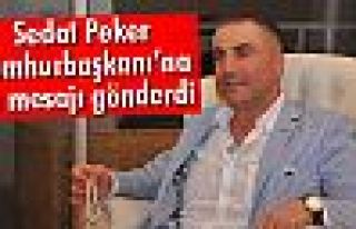 Sedat Peker'den Cumhurbaşkanı Erdoğan'a destek