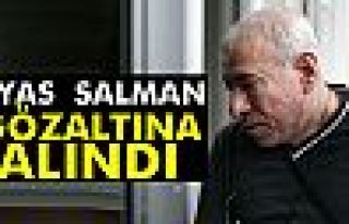 Sinema sanatçısı İlyas Salman Aydın’da gözaltına...