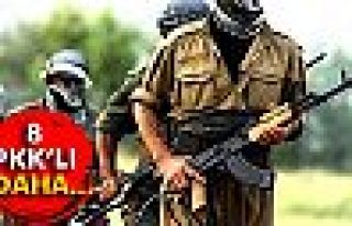 Şırnak'ta 8 PKK'lı daha teslim oldu