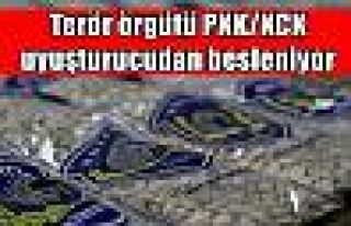 Terör örgütü PKK/KCK uyuşturucudan besleniyor