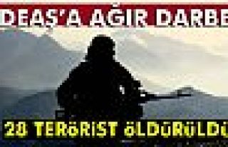 TSK: 28 DEAŞ'lı terörist öldürüldü