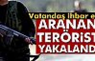 TSK açıkladı! Terörist Serhenk Aybar yakalandı