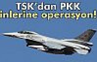 TSK'dan PKK inlerine operasyon