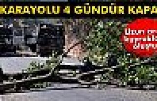 Tunceli-Erzincan karayolu 4 gündür kapalı