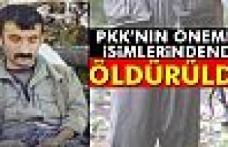 Tunceli'de PKK'nın sözde Özel Güç Sorumlusu öldürüldü