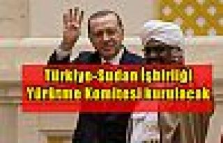 Türkiye-Sudan İşbirliği Yürütme Komitesi kurulacak