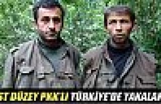 Üst düzey PKK’lı Türkiye’de yakalandı
