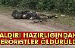 Van'da saldırı hazırlığındaki 2 PKK'lı terörist...