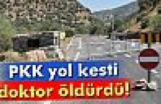 Yol kesen PKK'lılar, kaçmaya çalışan doktoru...
