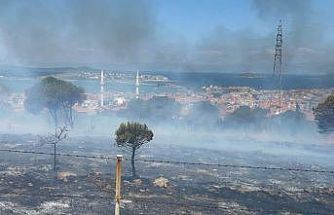 Balıkesir'de yerleşim yerlerine yakın otluk alanda çıkan yangına havadan müdahale edildi
