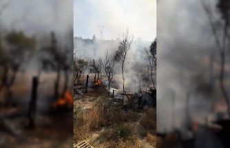 Bursa'da tarım arazisinde çıkan yangın söndürüldü