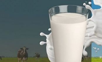 Günde en az 2 su bardağı süt dişleri güçlendiriyor