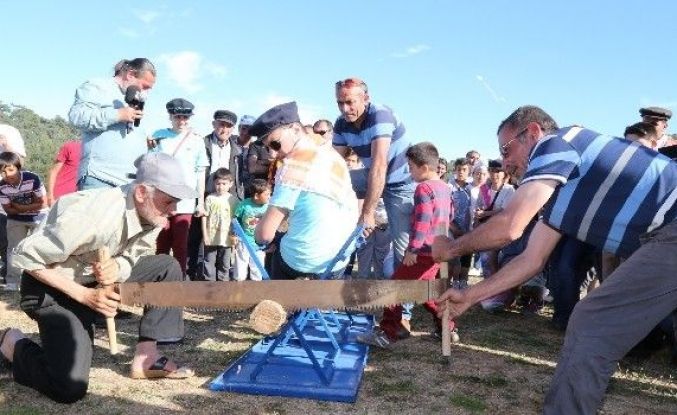 Bodrum’da Pedasa Festivali Başlıyor